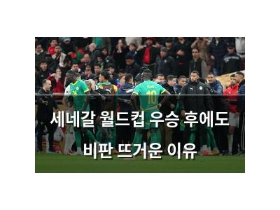 세네갈 월드컵 우승 후에도 비판 뜨거운 이유