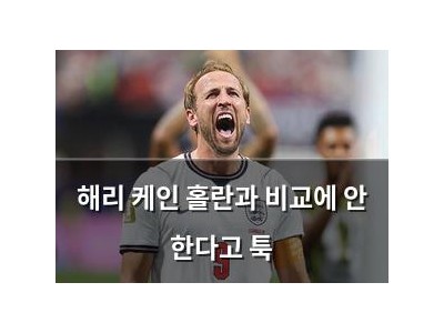 해리 케인 홀란과 비교에 안 한다고 툭