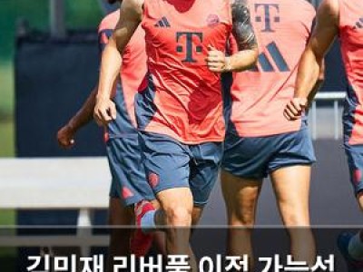 김민재 리버풀 이적 가능성 커져