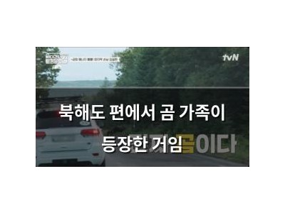 북해도 편에서 곰 가족이 등장한 거임