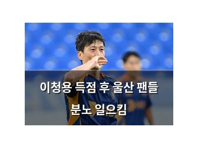 이청용 득점 후 울산 팬들 분노 일으킴