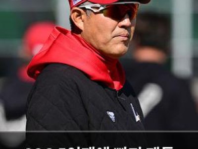 SSG 5연패에 빠져 팬들 실망