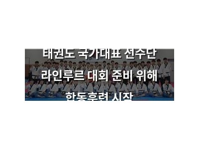 태권도 국가대표 선수단 라인루르 대회 준비 위해 합동훈련 시작
