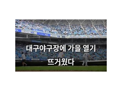 대구야구장에 가을 열기 뜨거웠다