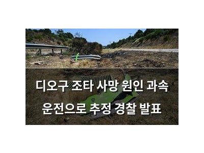 디오구 조타 사망 원인 과속 운전으로 추정 경찰 발표