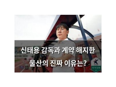 신태용 감독과 계약 해지한 울산의 진짜 이유는?