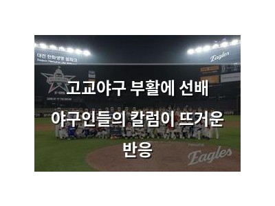 고교야구 부활에 선배 야구인들의 칼럼이 뜨거운 반응