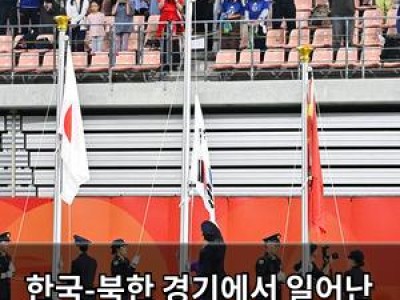 한국-북한 경기에서 일어난 난리법석