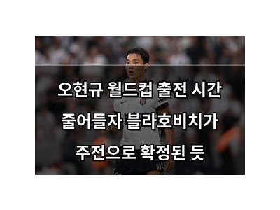 오현규 월드컵 출전 시간 줄어들자 블라호비치가 주전으로 확정된 듯